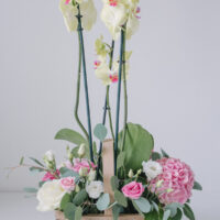 Aranjament Floral In Cos Cu Orhidee La Ghiveci
