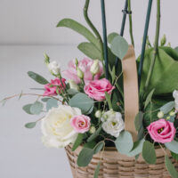 Aranjament Floral In Cos Cu Orhidee La Ghiveci