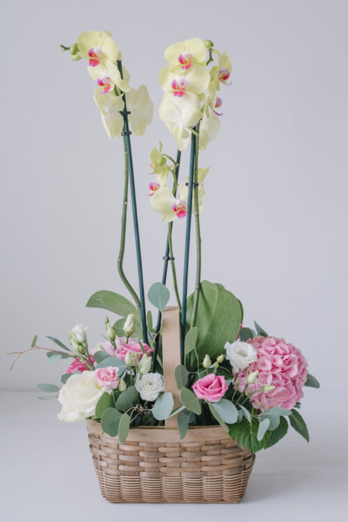 Aranjament Floral In Cos Cu Orhidee La Ghiveci