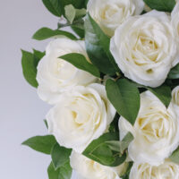 Buchet Cu Trandafiri Albi Avalanche