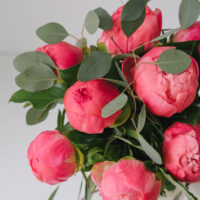 Buchet De Flori Din Bujori Somon