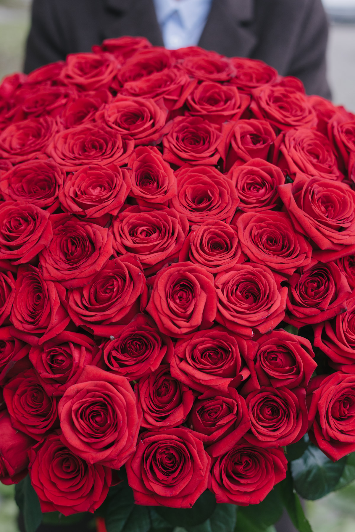 Buchet Urias Cu 101 Trandafiri Rosii
