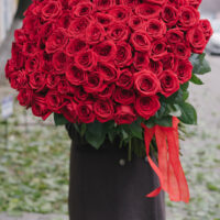 Buchet Urias Cu 101 Trandafiri Rosii