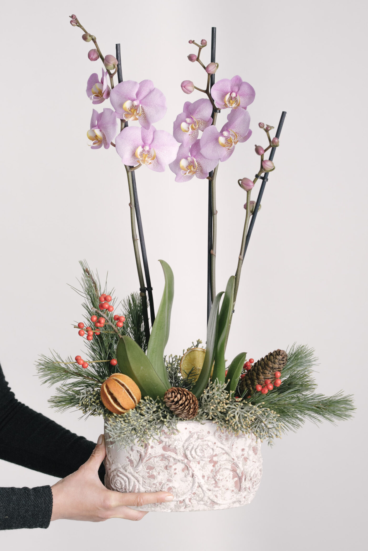 Aranjament De Crăciun Cu Orhidee În Vas Ceramic