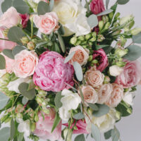 Buchet Pastelat Cu Bujor, Lalele, Frezii, Trandafiri, Alstroemeria