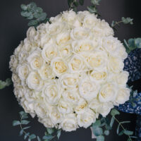Buchet Cu 51 Trandafiri Albi