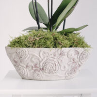 Vas ceramic oval antichizat pentru orhidee
