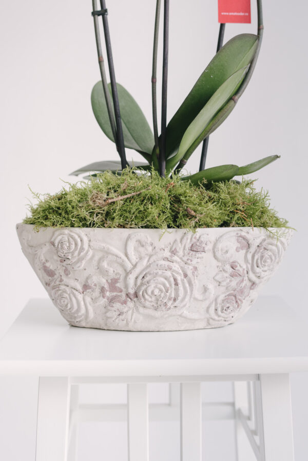 Vas ceramic oval antichizat pentru orhidee