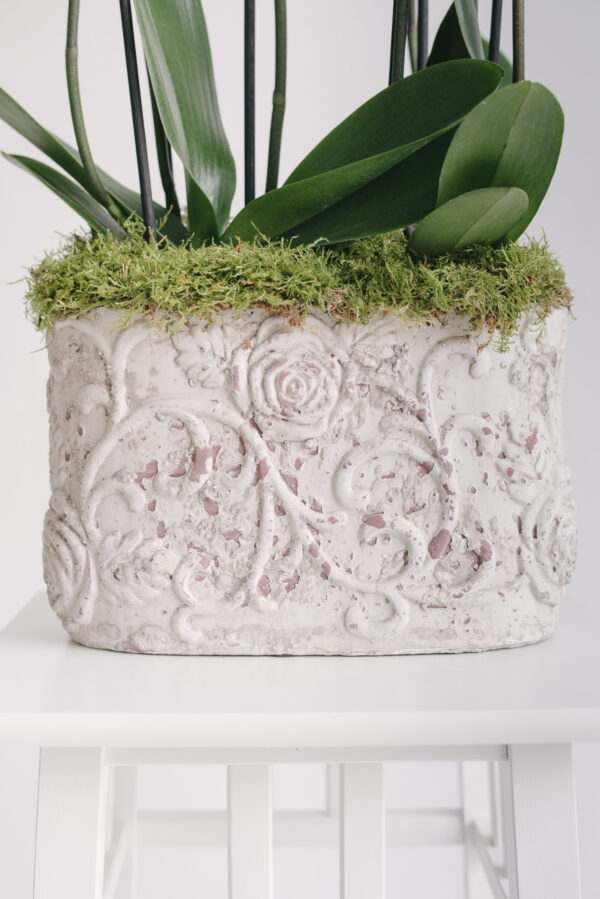 Vas ceramic antichizat