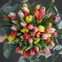 Buchet lalele colorate