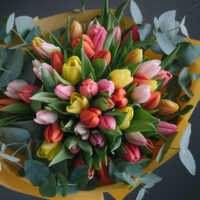 Buchet cu 49 lalele colorate