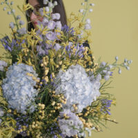 Buchet De Flori Uriaș Cu Ilex Și Delphinium
