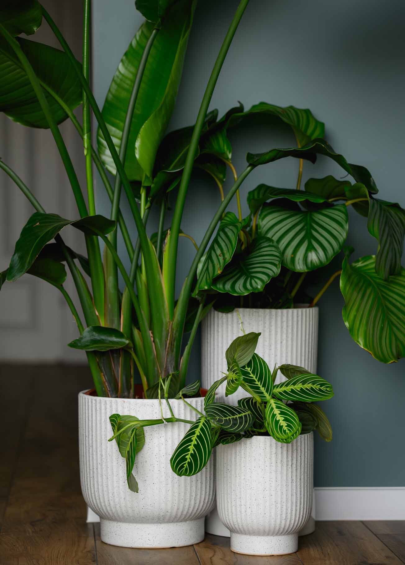 Vas ceramic de mari dimensiuni pentru plante crem