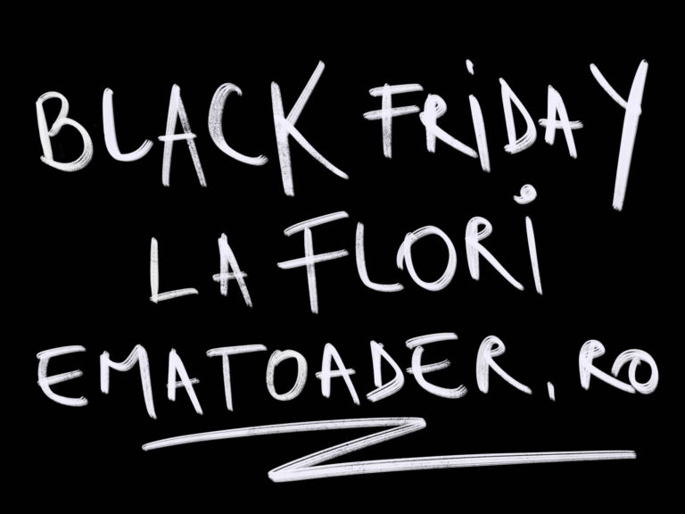 Black Friday La Flori Si Aranjamente Florale
